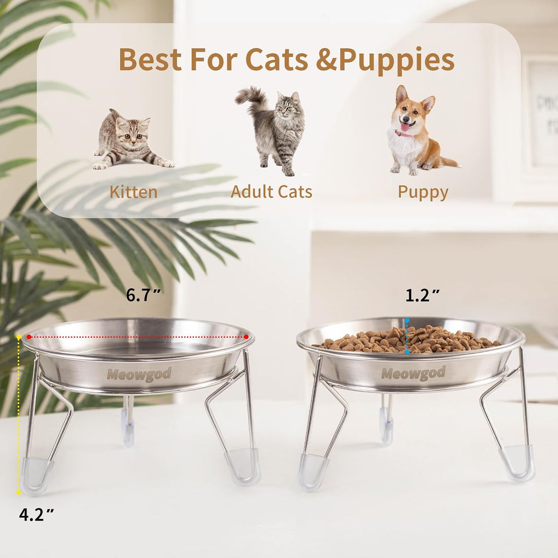 Extra Wide Raised Stainless Steel Cat Food Bowls with Stand