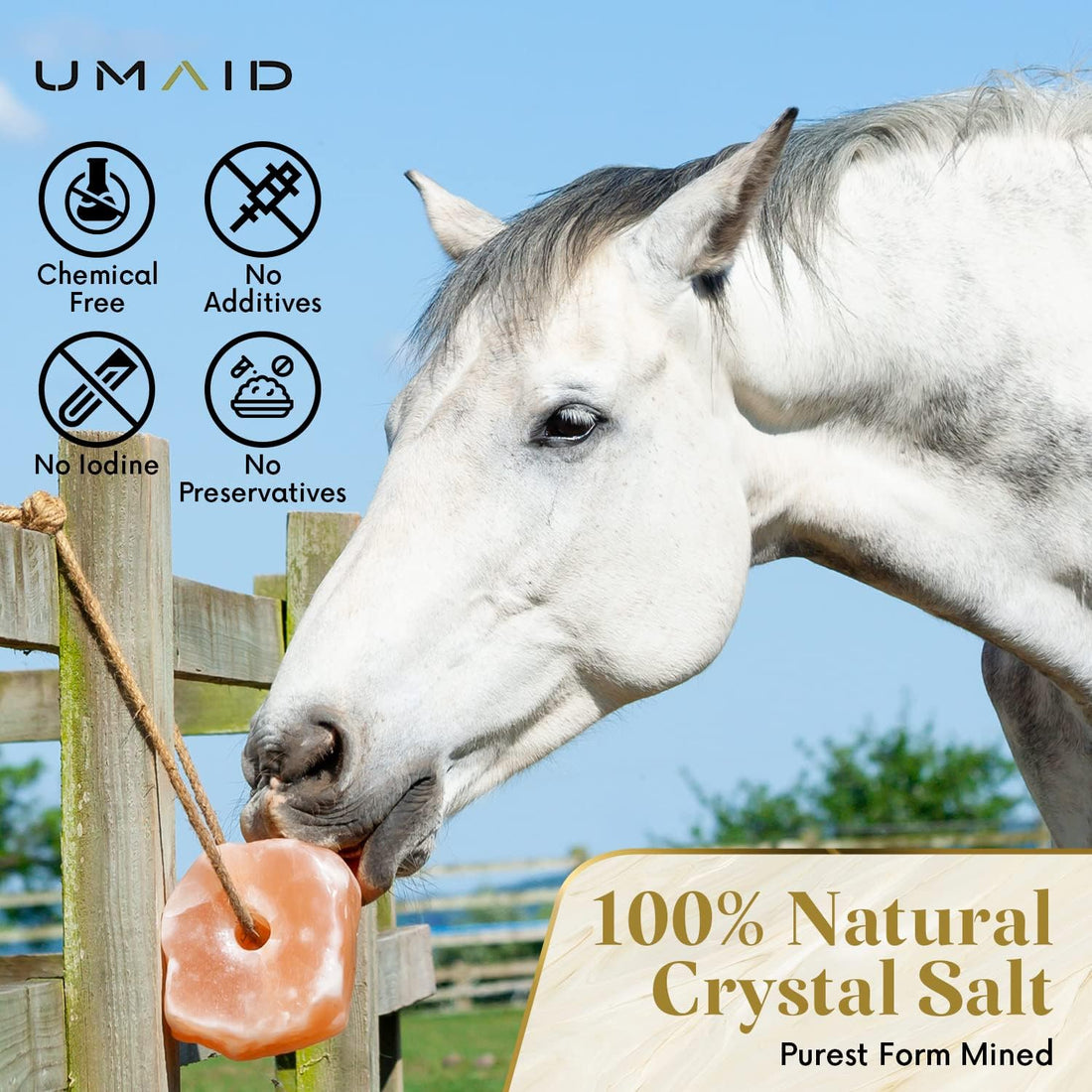 UMAID Himalayan Salt Lick 6 lbs on Rope for Horse, Deer
