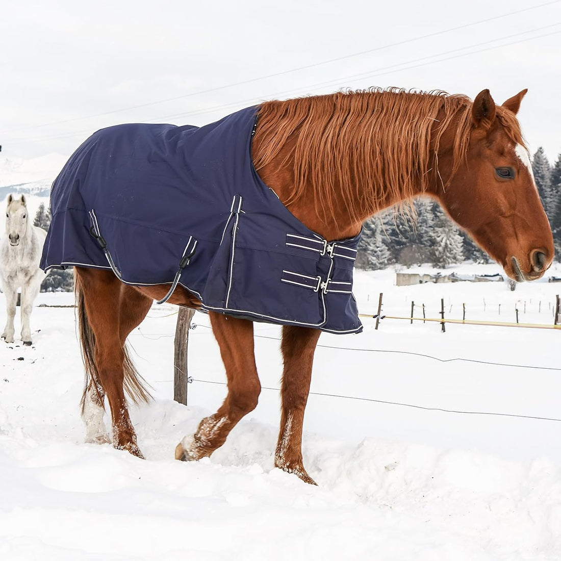6 Pcs Horse Blanket Leg Straps