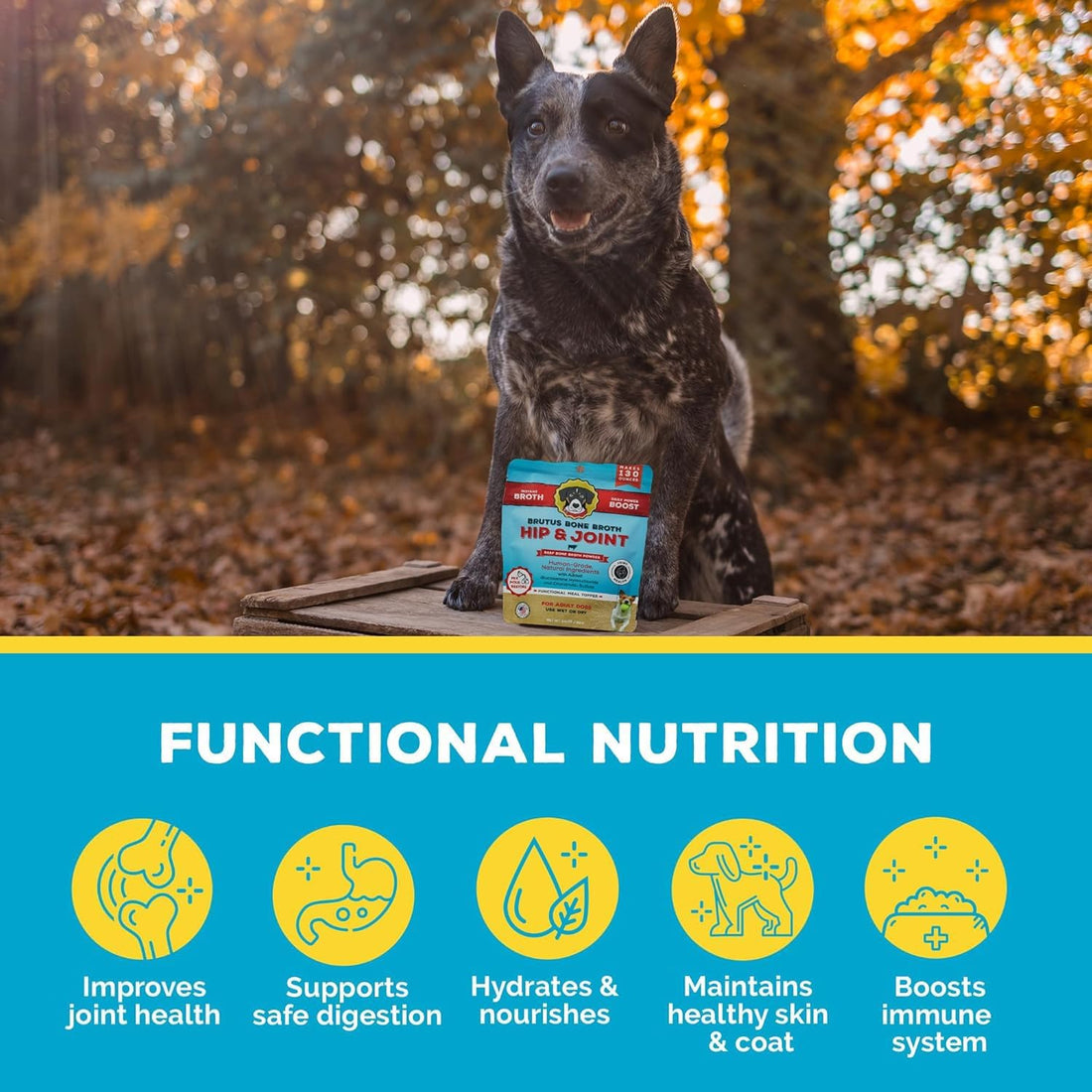Brutus Broth Dog Food Topper