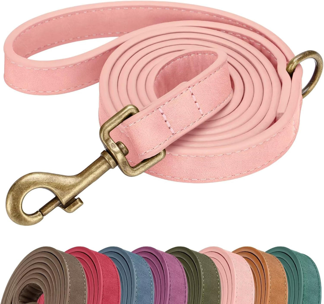 Didog PU Leather Dog Leash for Small Dogs, 5/8in x 5ft