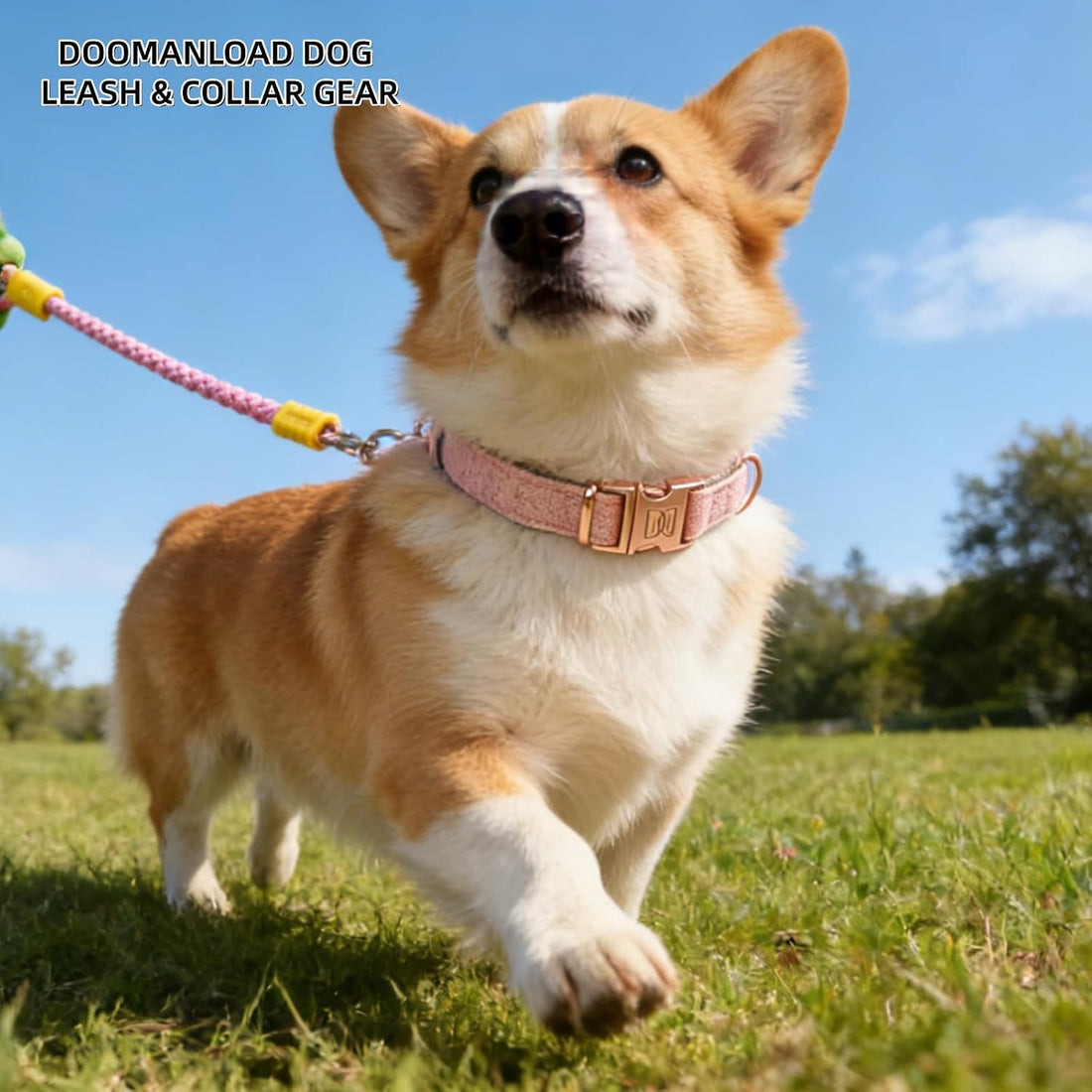 Hands Free Dog Leash,Adjustable Bungee Waist & Crossbody Leash