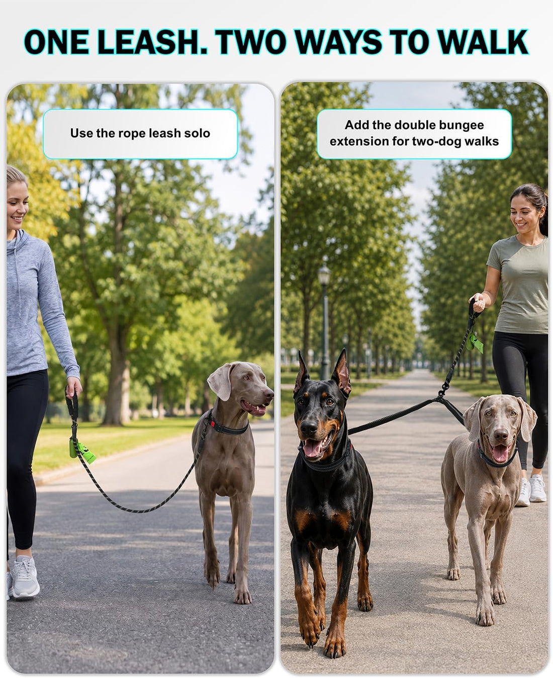 Taglory Double Dog Leash for Two Dogs No Tangle, Bungee Extension