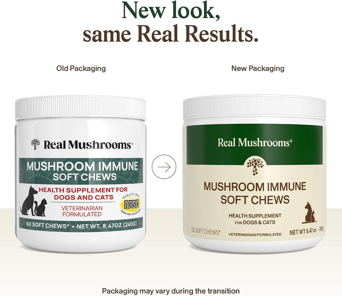 Real Mushrooms Pet Chews for Dogs & Cats