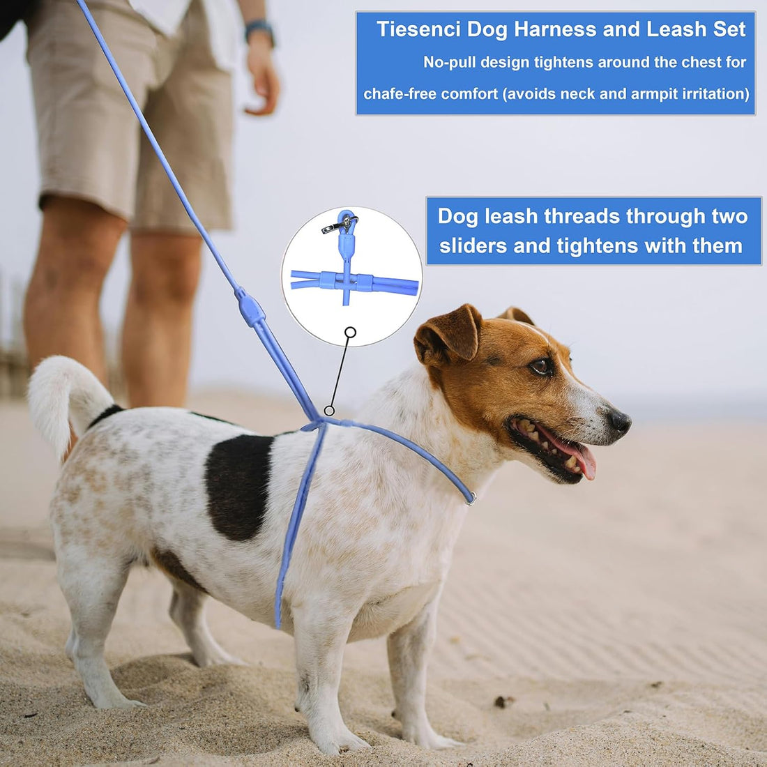 9-in-1 Hands Free Dog Leash Crossbody/Waist Purple Small Dogs