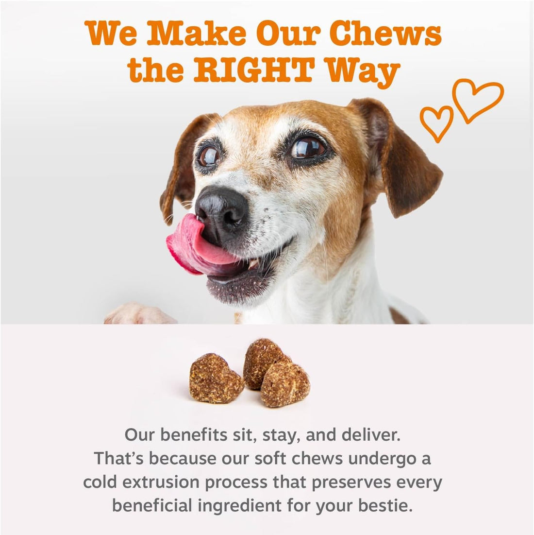 Zesty Paws Scoot Away Soft Chews