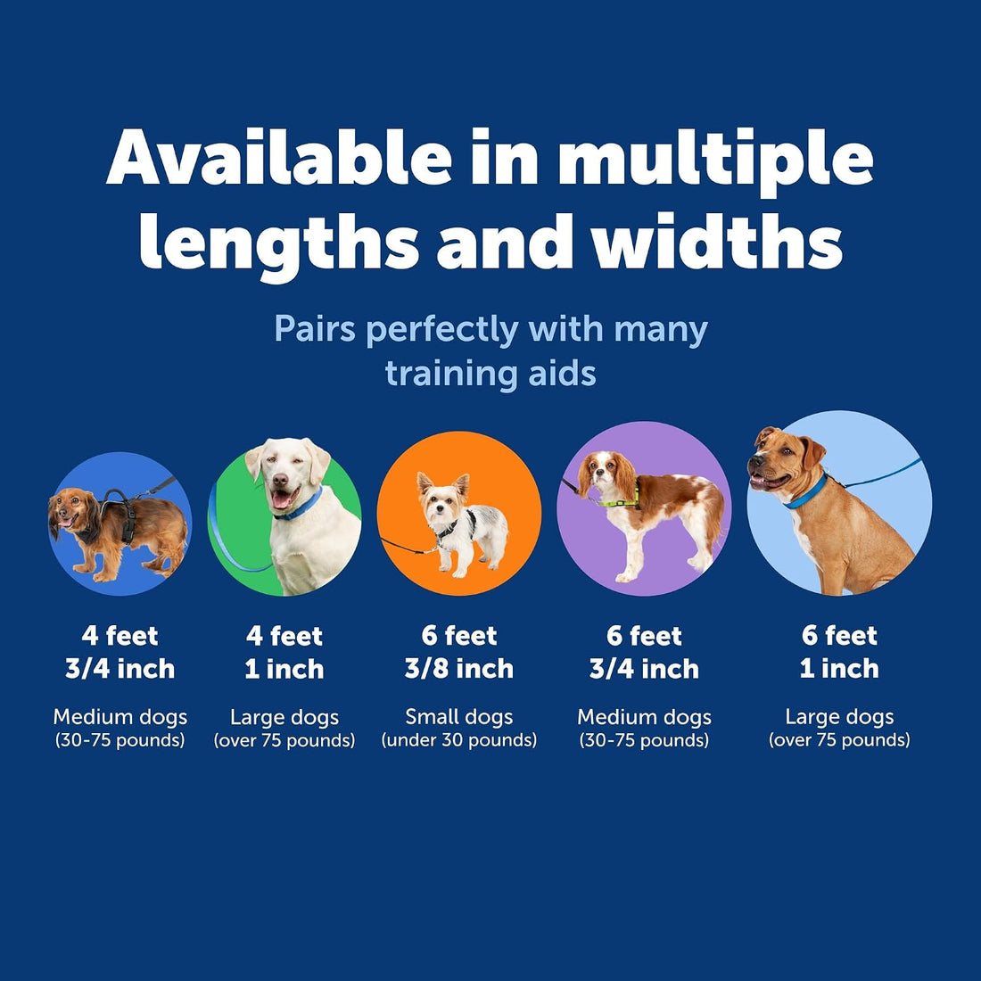PetSafe Nylon Traditional Dog Leash with Bolt Snap