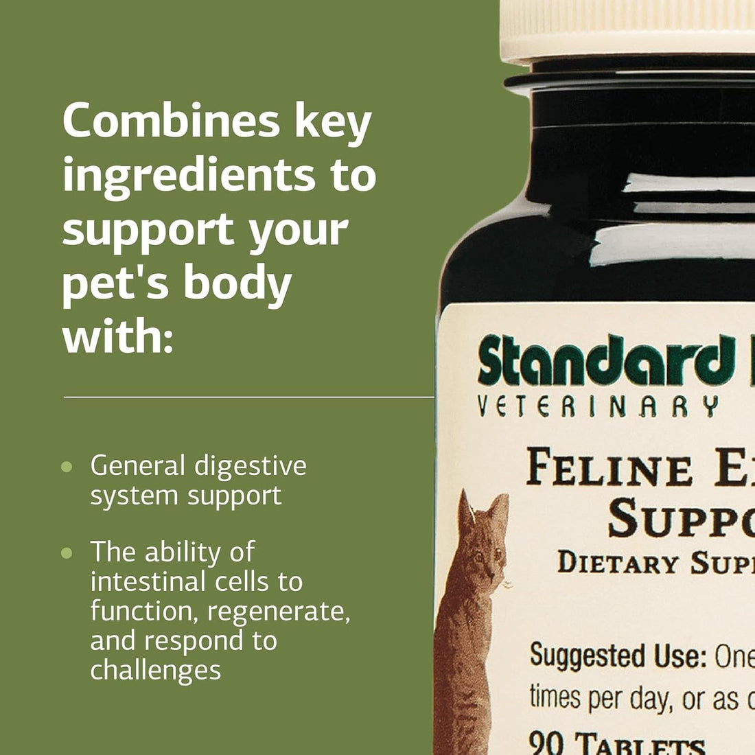 Standard Process Inc. Feline Enteric Support - 90 Tablets