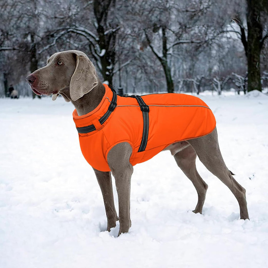 Lelepet Dog Winter Coat Waterproof Dog Jacket with Harness Built in