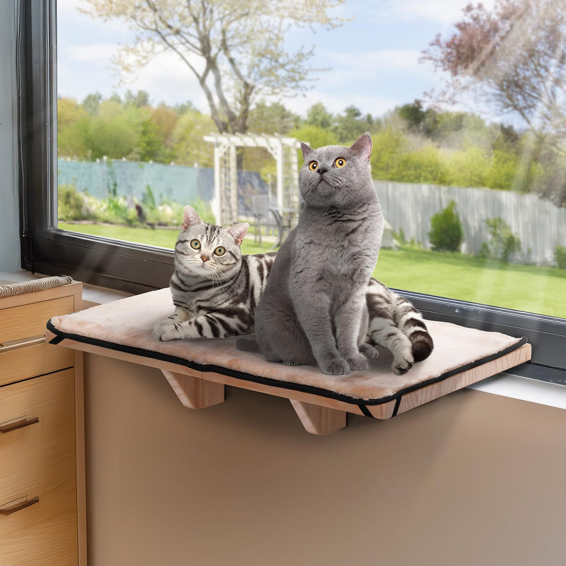PETSFIT Cat Window Perch for 2 Cats