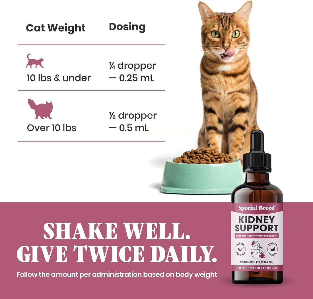 Special Breed Kidney Support for Cats - Rehmannia & Astragalus Liquid