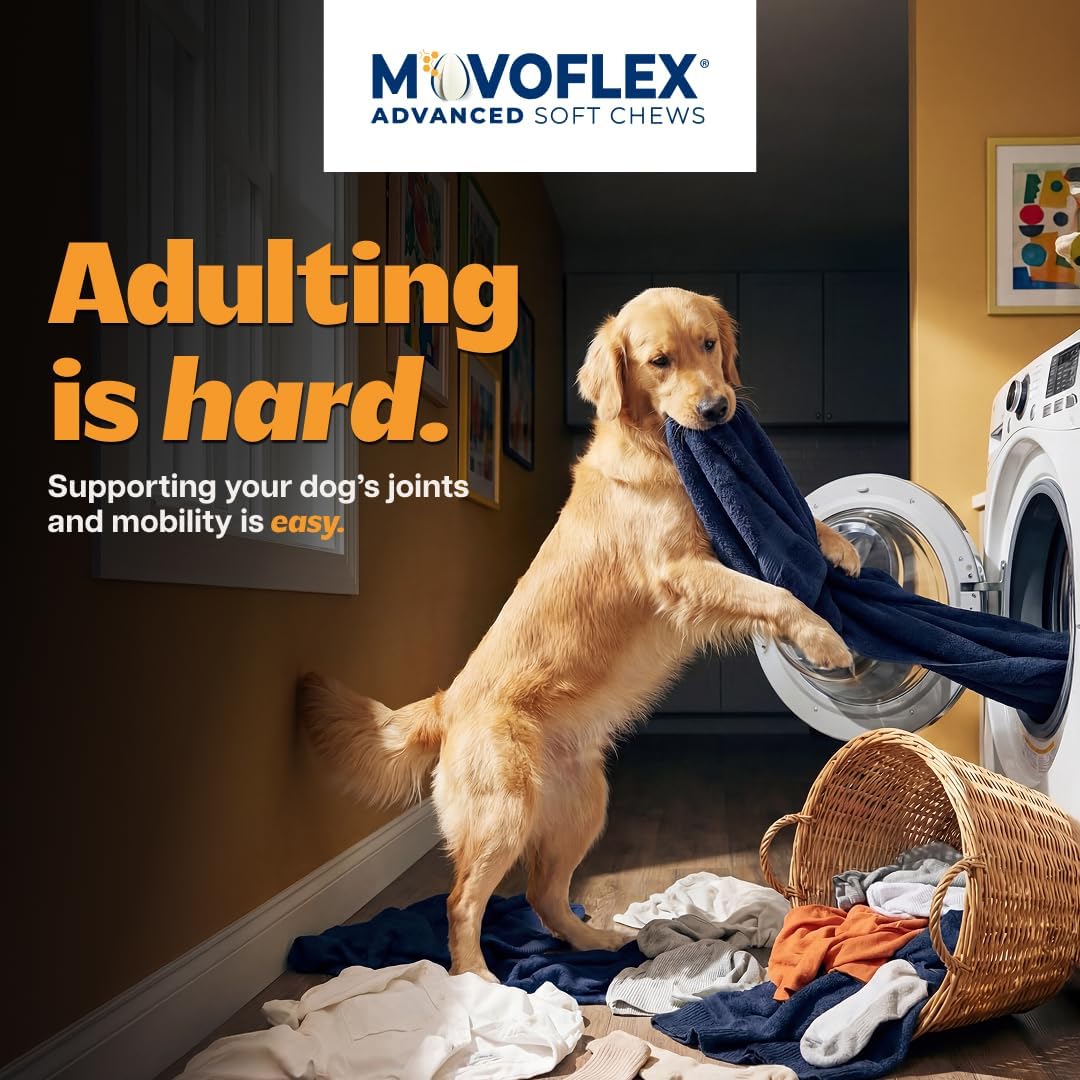 MOVOFLEX Advanced Soft Chews Hip and Joint Support Supplement