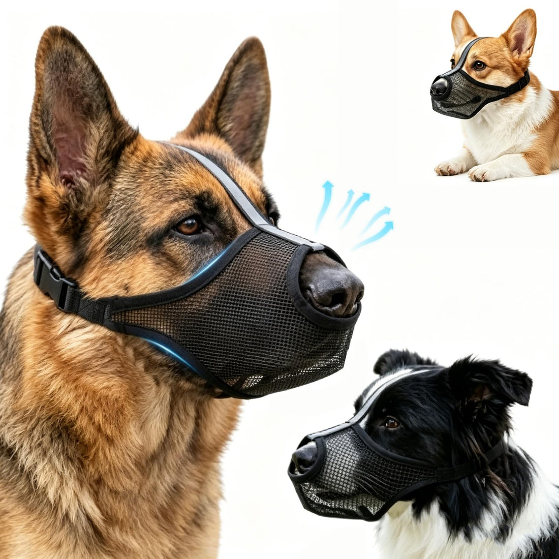 Dog Muzzle for Small Medium Large Dogs – Anti-Scavenging T-Shaped Mesh