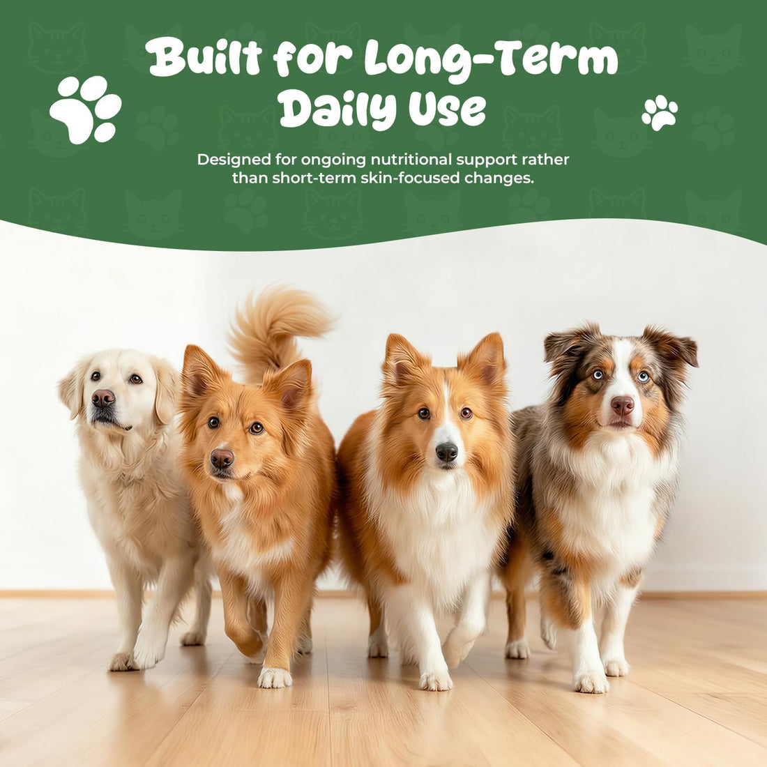 Homibabis Vitamin E Supplement for Dogs Liquid