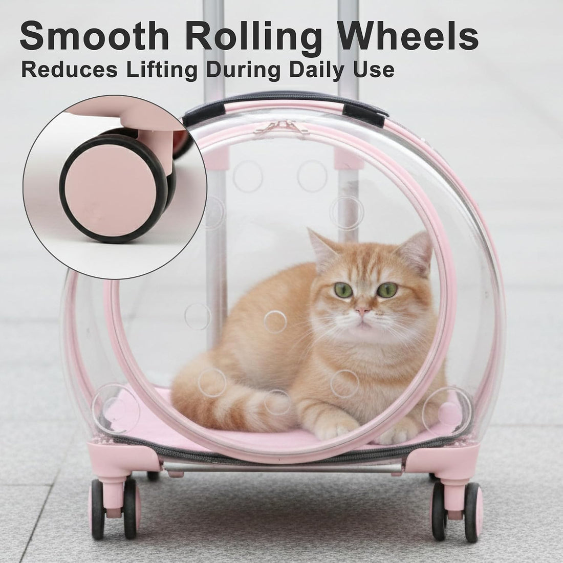 Transparent Hard Shell Cat Carrier with Wheels