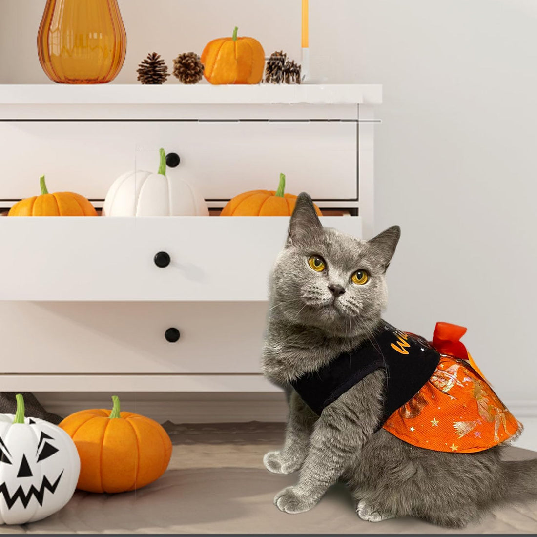 Dog Halloween Costumes Dog Dress Halloween Costumes for Dogs Funny