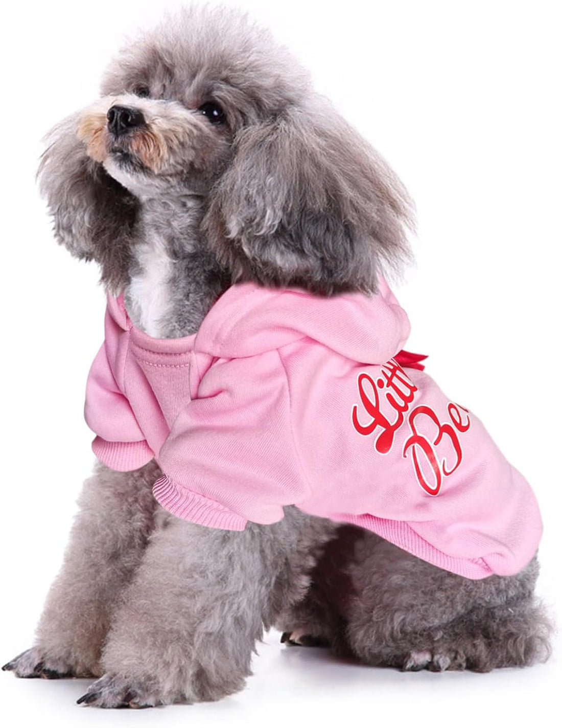 Print Dog Hoodies for Small Dogs