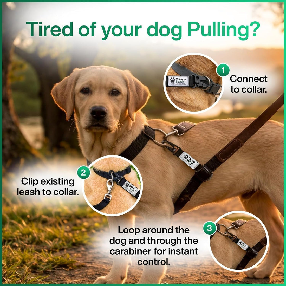 No Pull Dog Harness Alternative