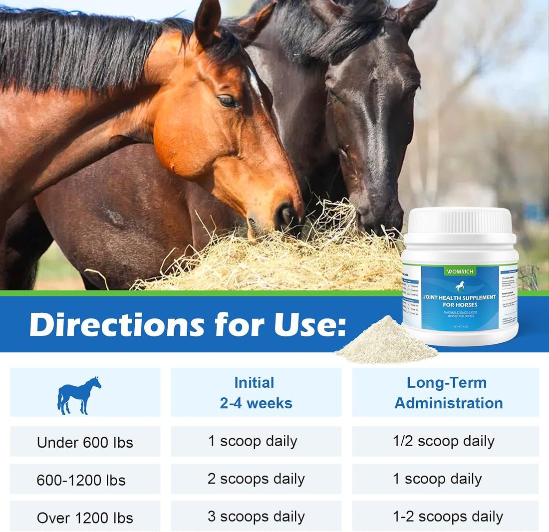 Joint Health Supplement for Horses Powder - Glucosamine, MSM