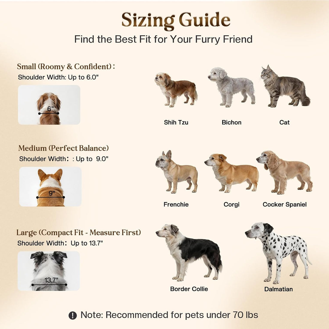 5-Step Wooden Dog Steps for Bed, Anti-Slip Dog Stairs with Carpet Pads