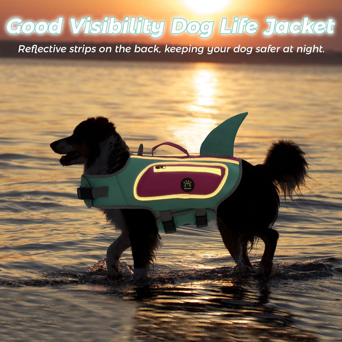 Dog Life Vests for Boating and Swimming, Dog Life Jacket