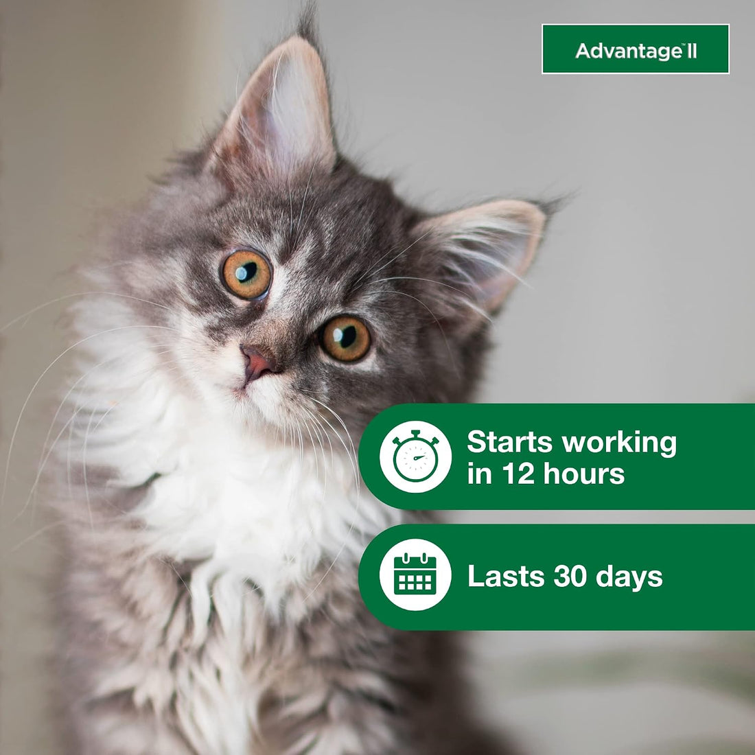 Advantage II Kitten Vet-Recommended Flea Treatment & Prevention