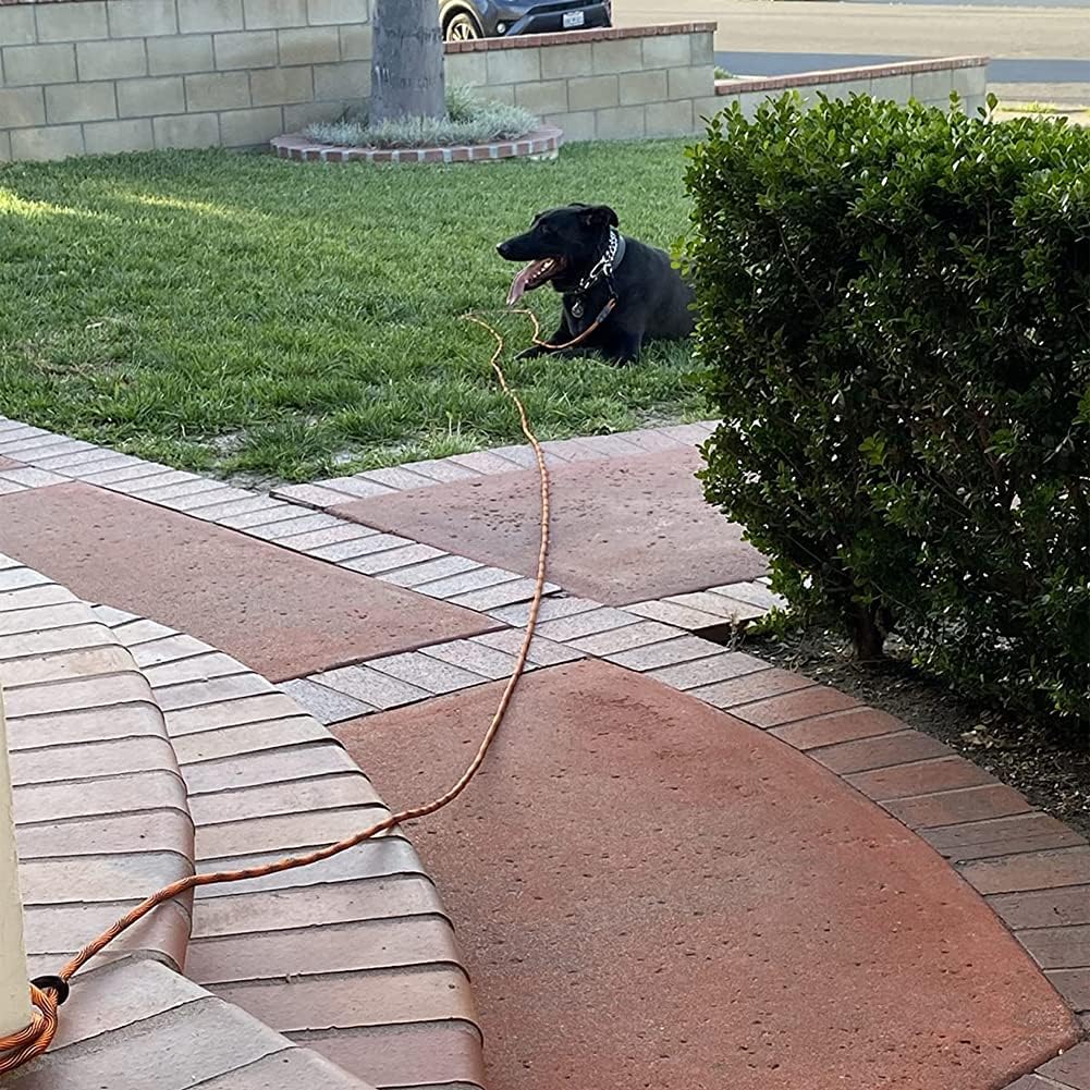 BTINESFUL Dog Tie Out, Check Cord Long Tether Rope Leash