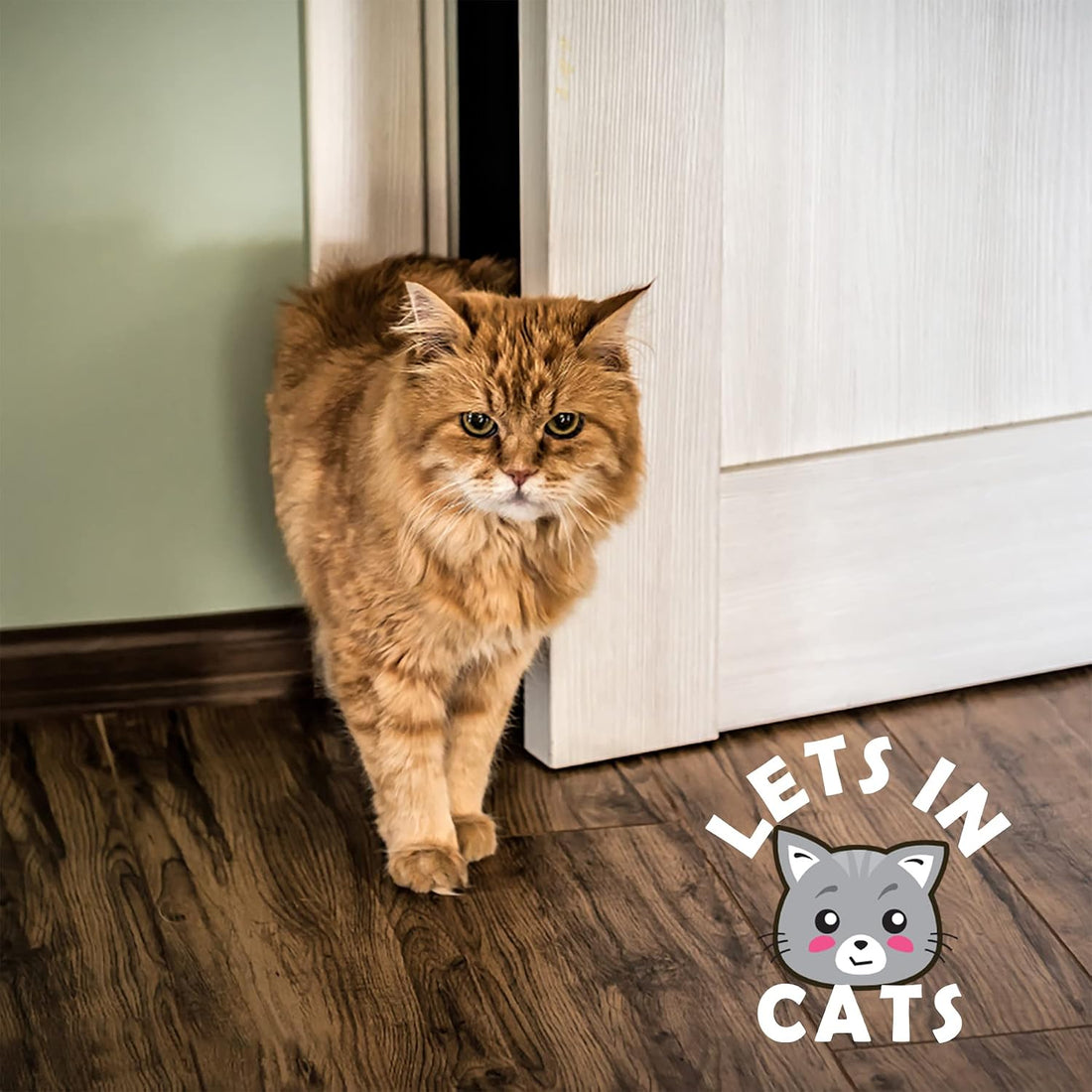 Elilier Cat Door Latch Holder