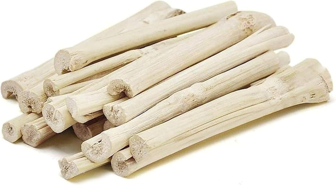 SunGrow Sweet Bamboo Chew Sticks for Rabbits