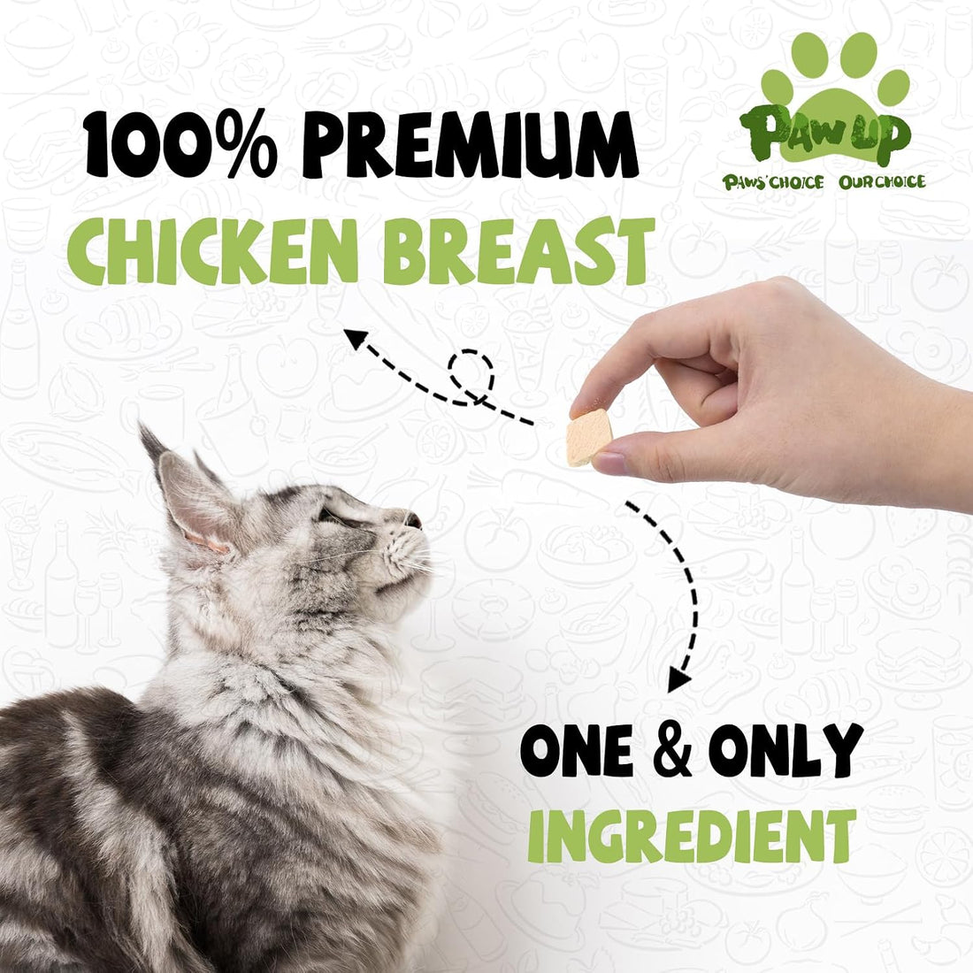 PAWUP Freeze Dried Cat Treat, Chicken Breast, Single Ingredient, 4.6oz