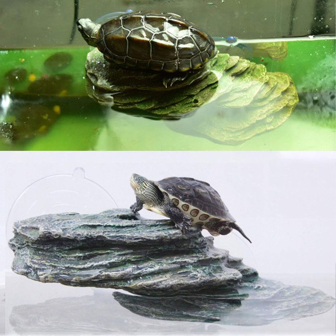kathson Turtle Basking Platform,Tortoise Dock Floating Resting