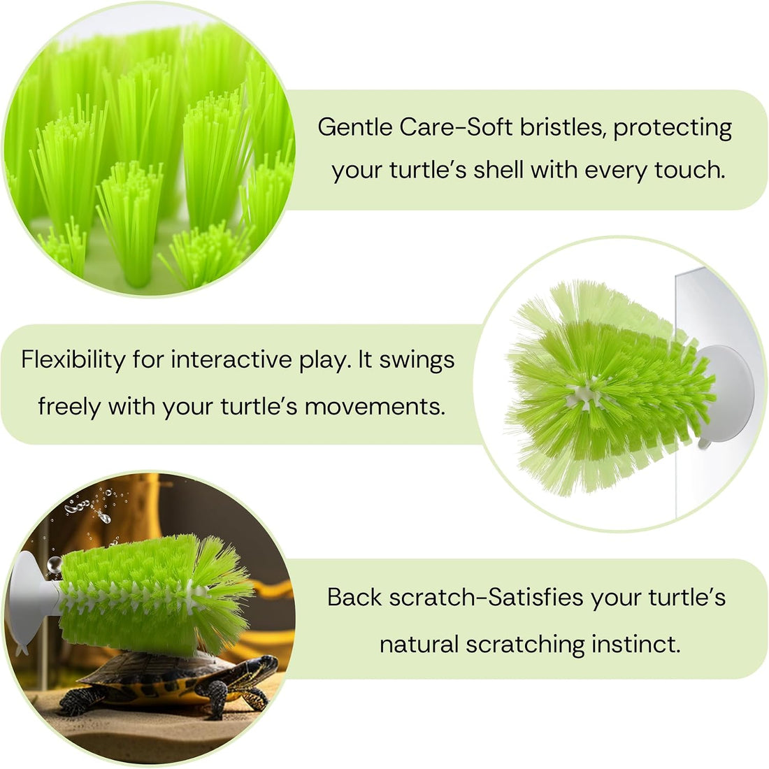 2-in-1 Turtle Brush and Feeder Ball Set, Turtle Tank Accessories