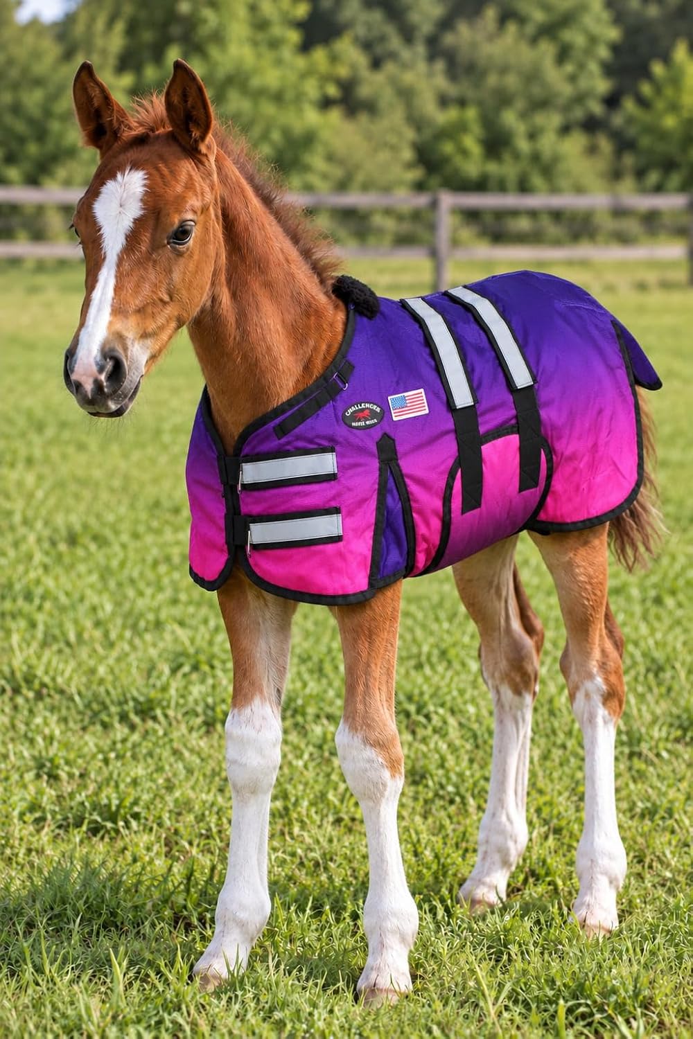 1680D Miniature Foal Pony Donkey Weanling Winter Blanket 519TS07-L