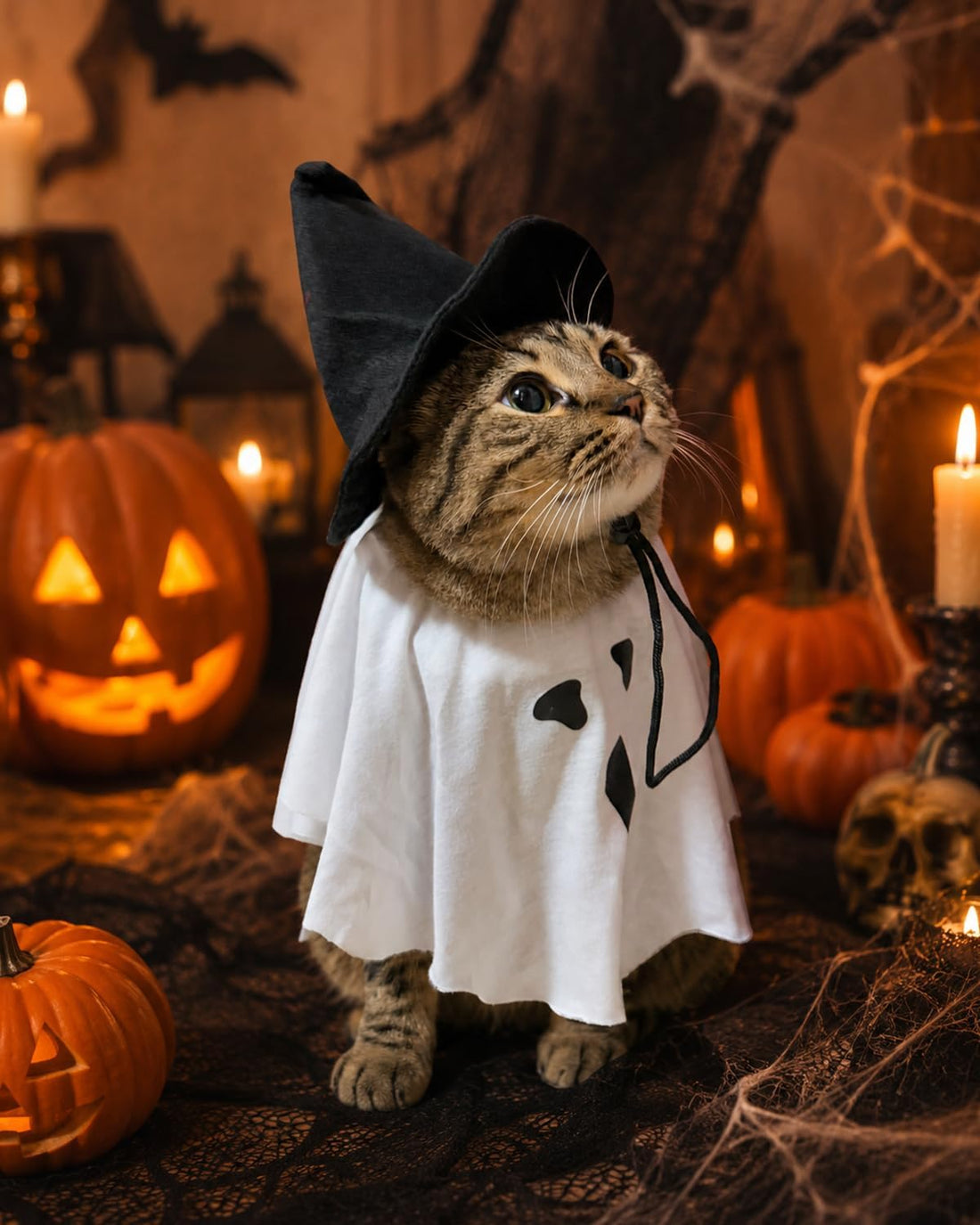 Piemow Cat Halloween Costumes