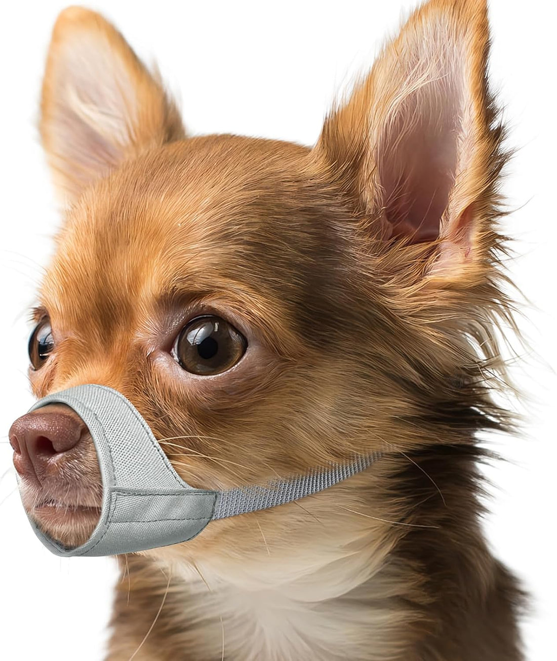 Mayerzon Fabric Dog Muzzle for Short Snout Small Dogs Chihuahuas