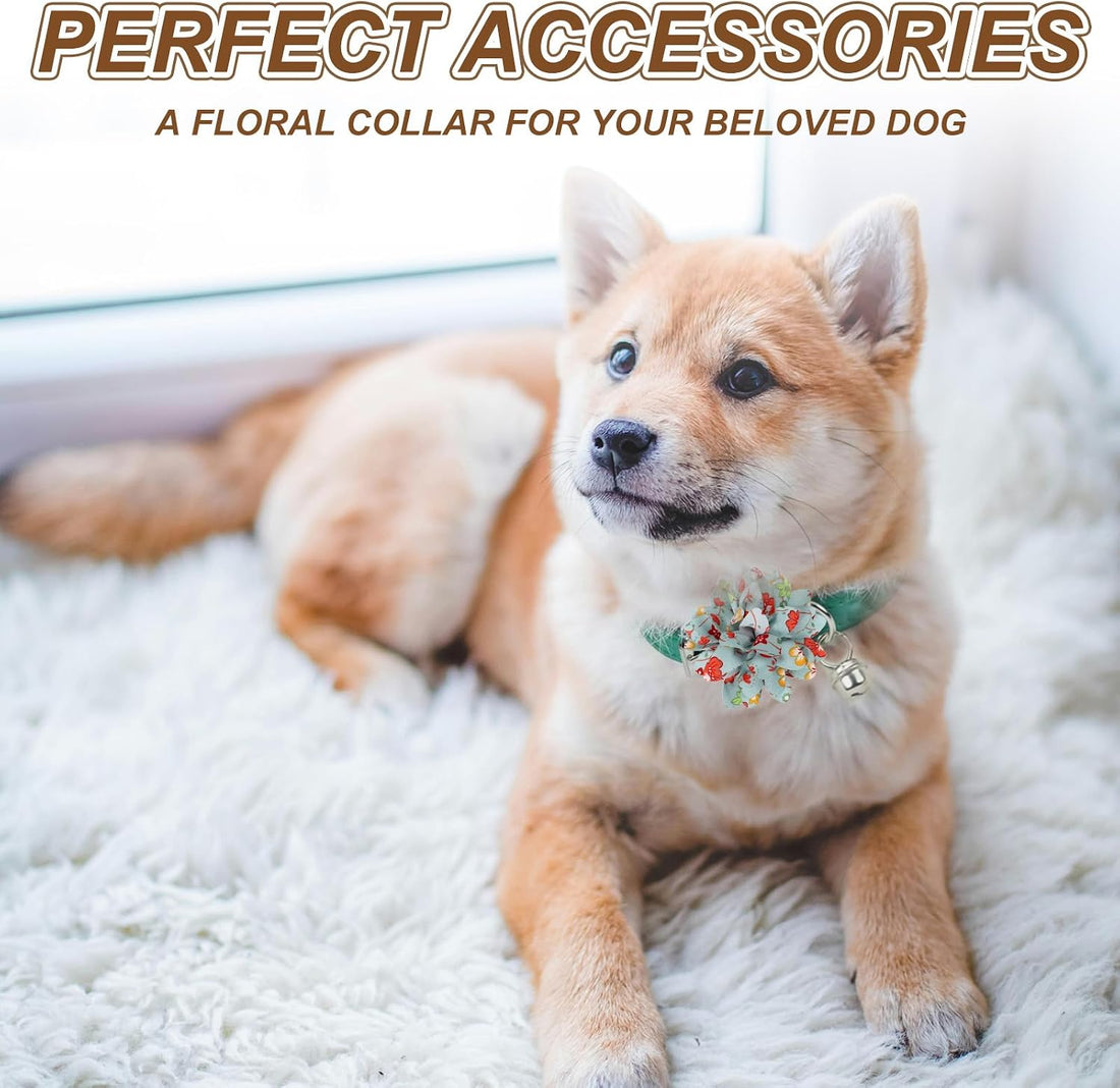 Dog Collar Flowers, Pet Flower Charms