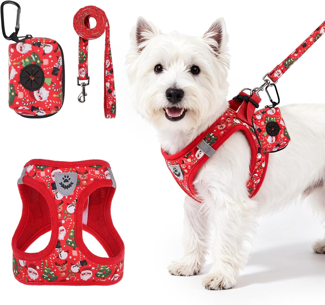 PAWCHIE Christmas Dog Harness and Leash Set