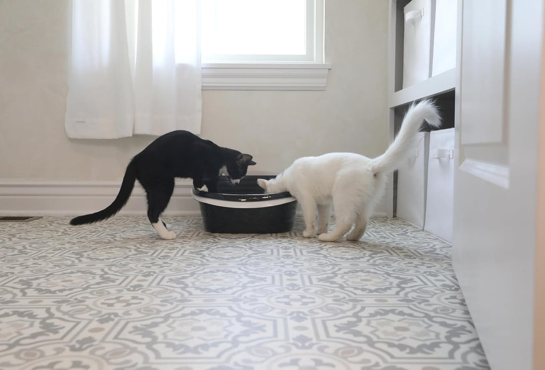 Arm & Hammer Large Sifting Litter Box Scoop Free Cat Litter Tray