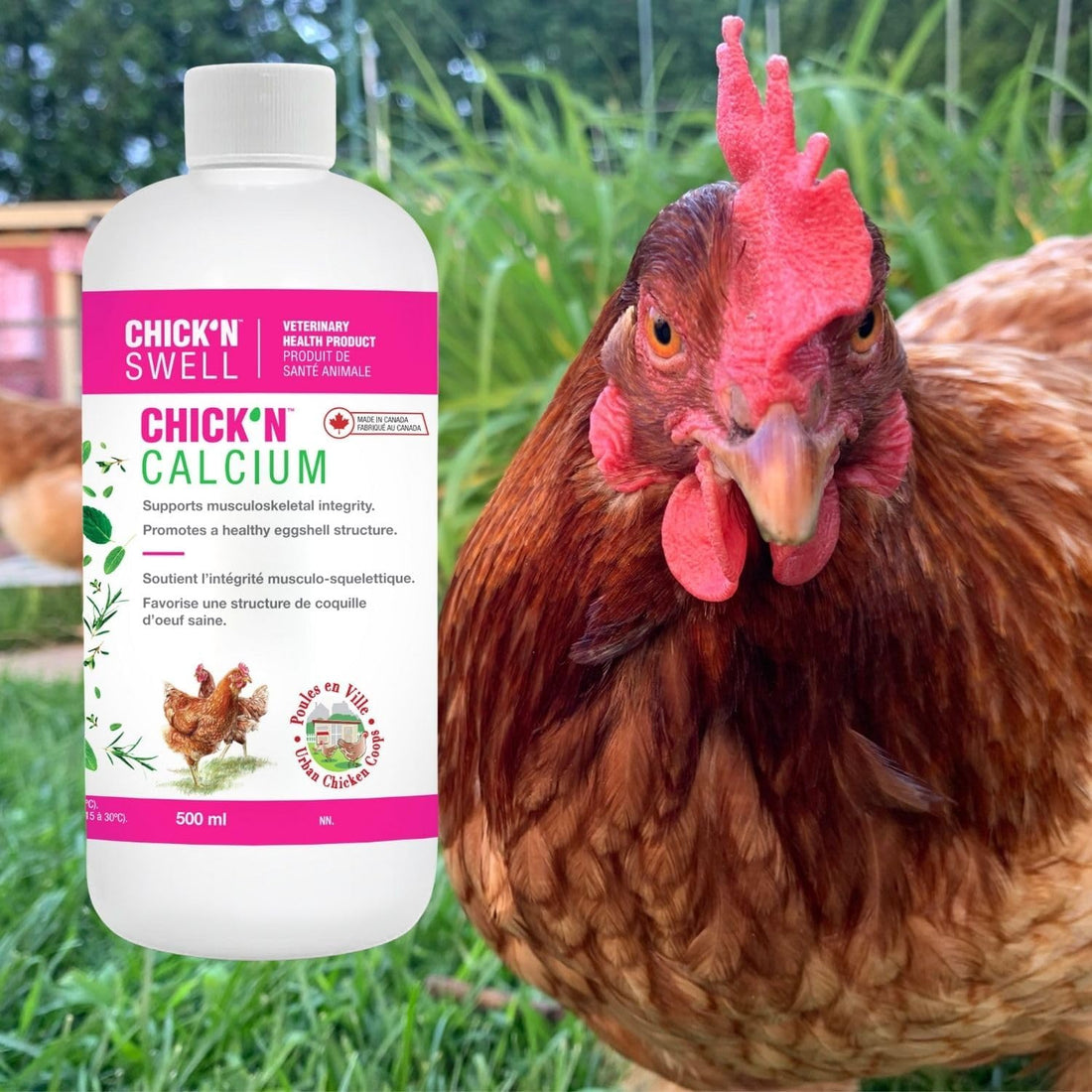 Premium Poultry Calcium Supplement for Bone Health & Egg