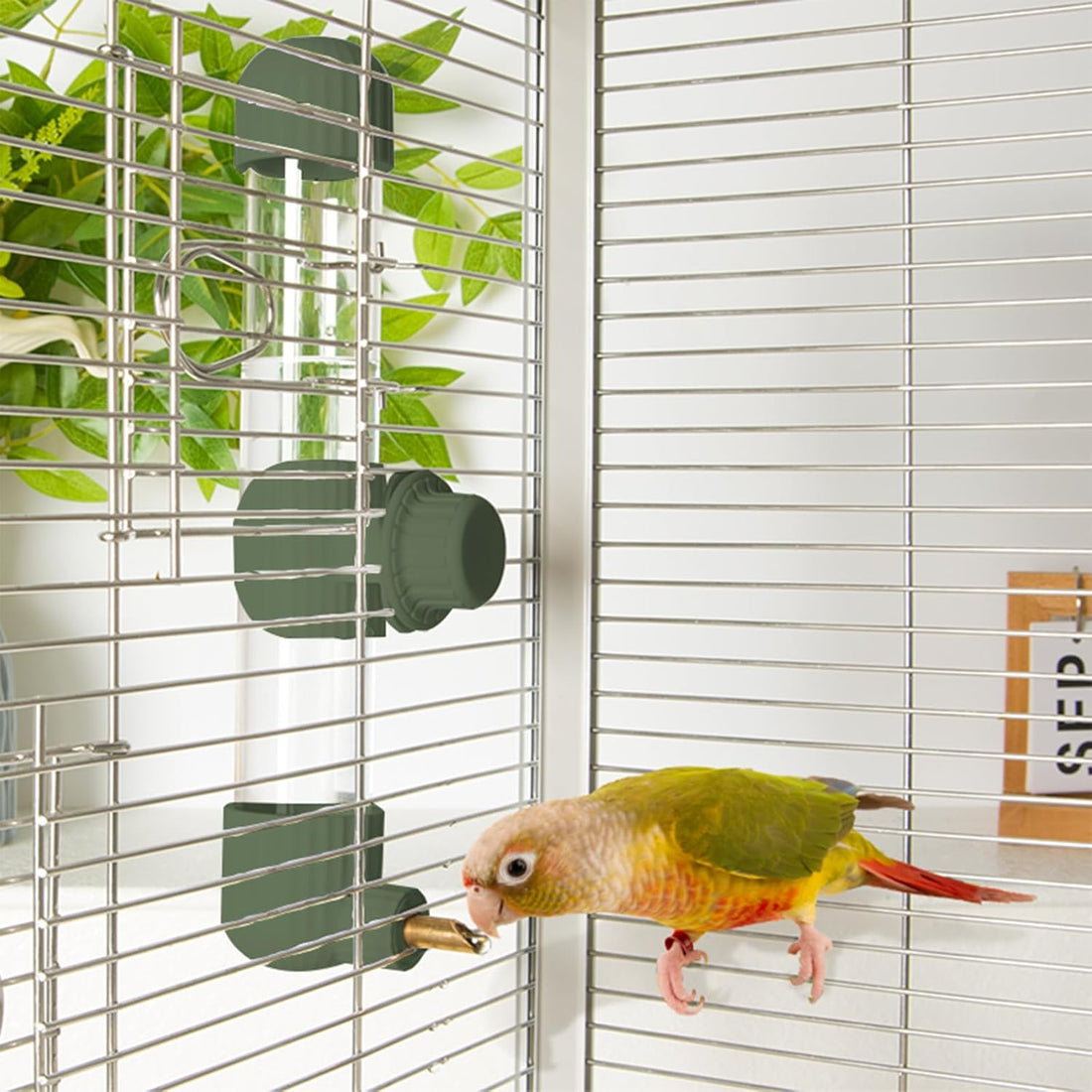 9.4 Fl Oz No Mess Bird Water Dispenser