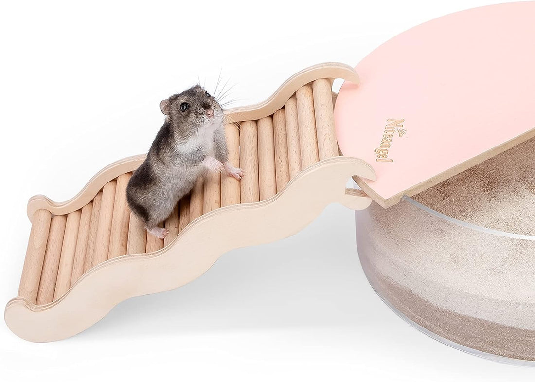 Niteangel Hamster Climbing Ladder Bridge: 8.26 x 3.7 x 1.1 inch