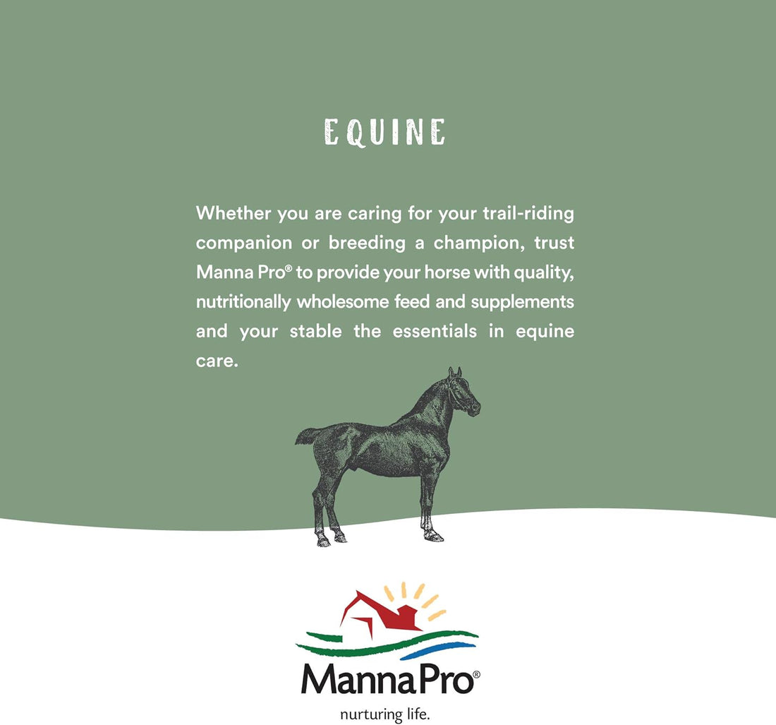 Manna Pro Hen Healer Multi-Purpose Ointment | Helps Support Healing