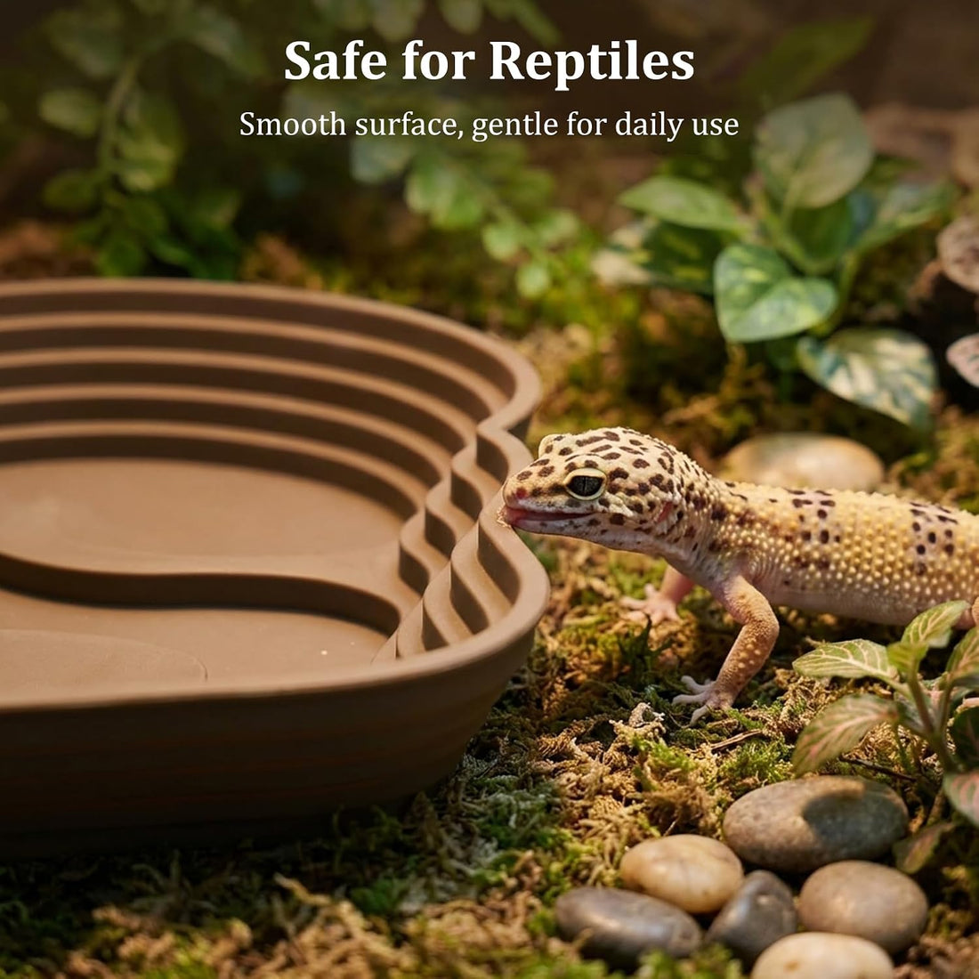 3 Pcs Reptile Bathing Pool Set