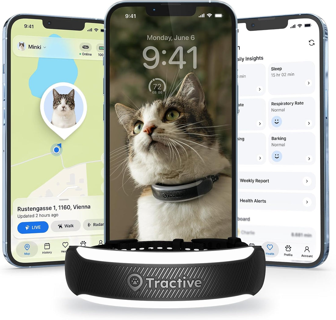 Tractive Smart Cat GPS Tracker Collar