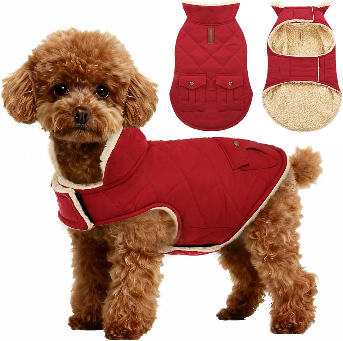 ASENKU Dog Winter Coat, Thick Plush Fleece Lining Dog Jacket