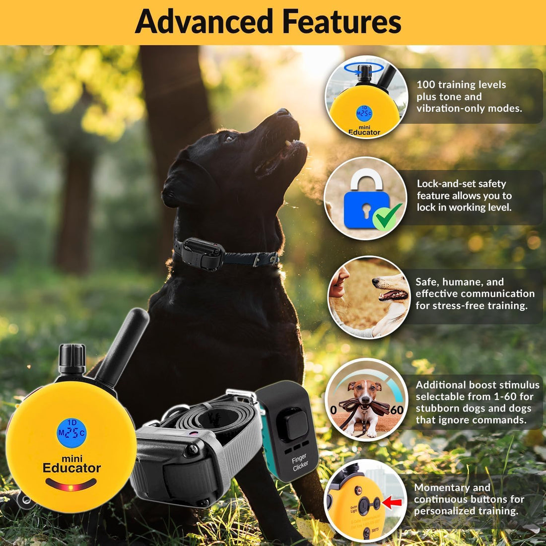 E-Collar Mini Educator ET-300 Remote Dog Training Collar