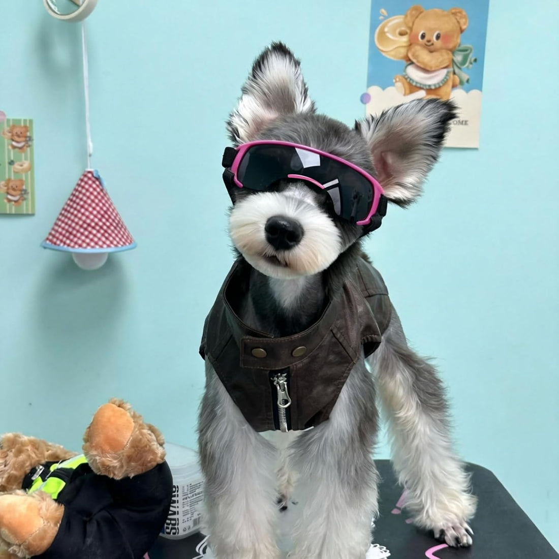 ENJOYING Dog Sunglasses Small Breed