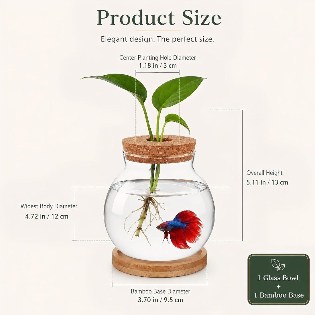 Healifty Desktop Fish Bowl, Glass Hydroponic Planter Tank Kit 5. 1 X