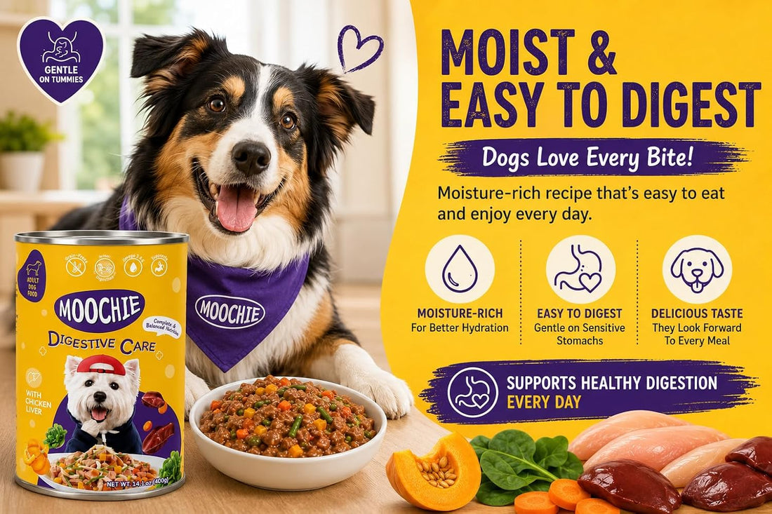 MOOCHIE Digestive Care Wet Dog Food for Small Breeds, Chicken & Beef