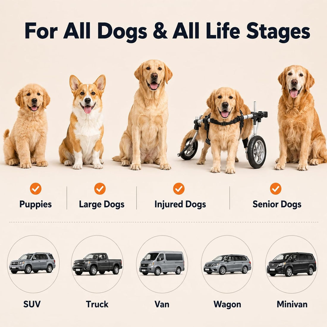 Dog Ramp for Car with Telescoping Design